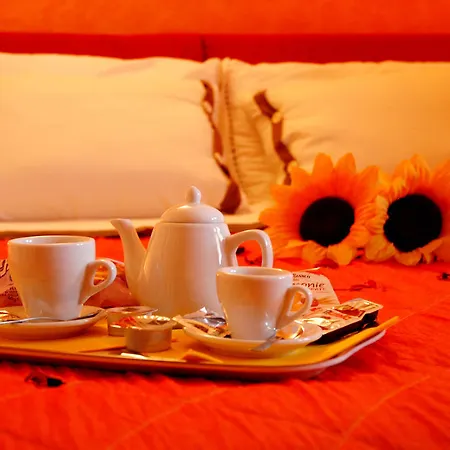 B&B Fantar House 카르보니아