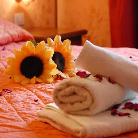 Bed and breakfast Fantar House 3*